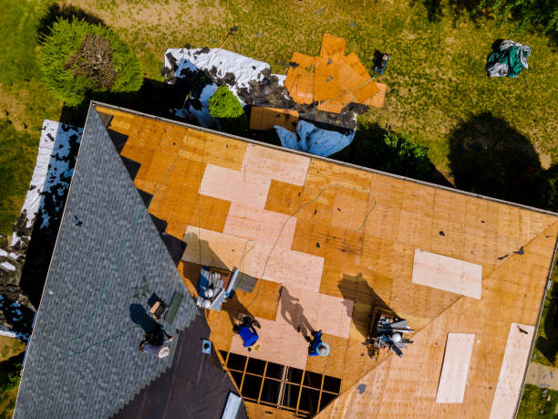 Best Roof Waterproofing Services  in Omro, WI