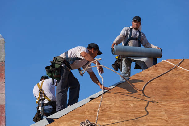 Best Roof Repair Services  in Omro, WI