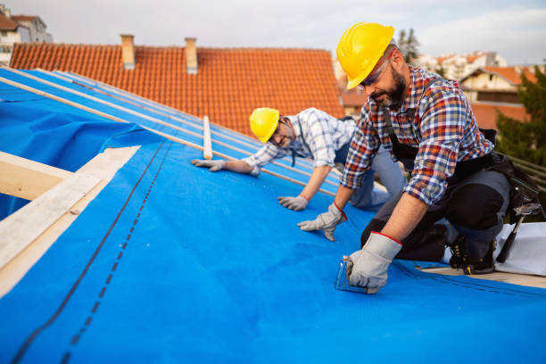 Best Flat Roof Repair Services  in Omro, WI