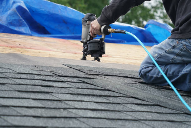 Best Metal Roofing Contractor  in Omro, WI