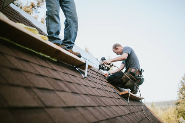 Best Gutter Installation and Roofing  in Omro, WI